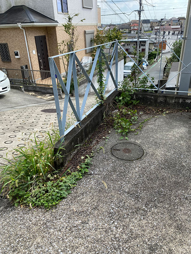 草刈り前